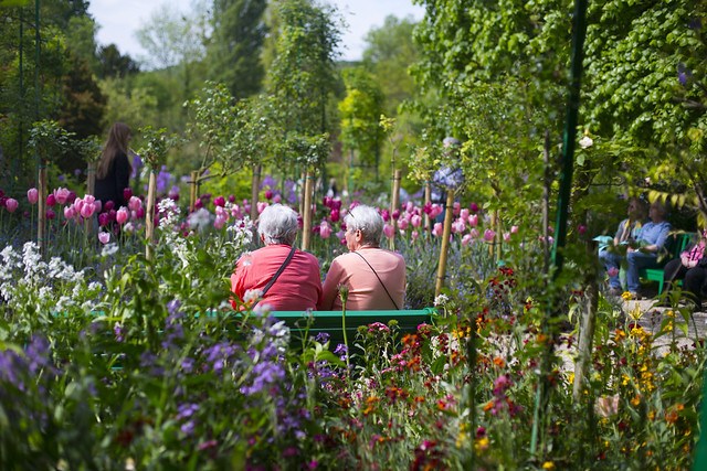 deux personnes âgées sur un blanc au milieu de fleurs