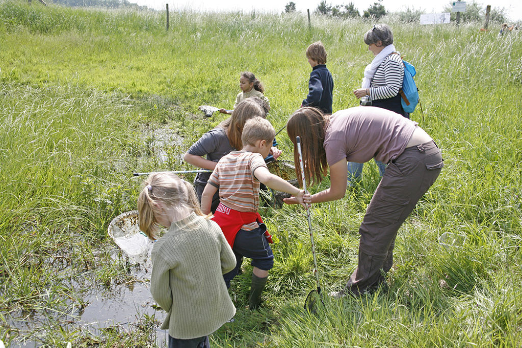 groupe d'enfants en botte avec deux adultes au milieu d'un champs humide