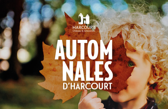 Les Automnales d’Harcourt. L’événement jardin dans l’Eure, en Normandie