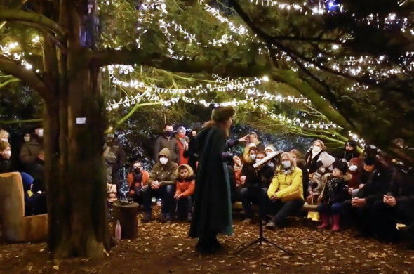 conteuse devant un public sous un arbre éclairé de nuit