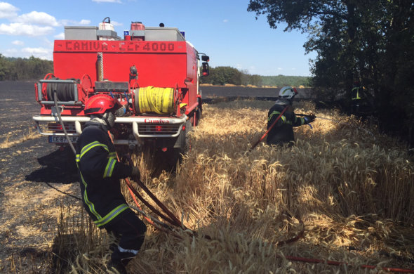 camion de pompiers et pompiers au milieu de blé