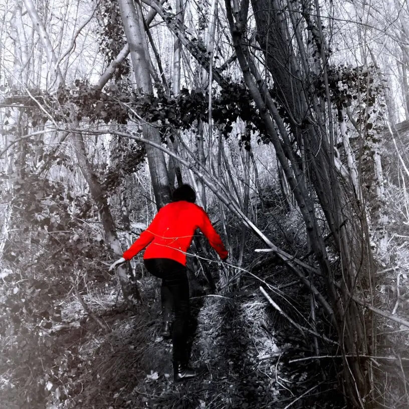 personne avec un pull rouge dans une forêt en noir et blanc