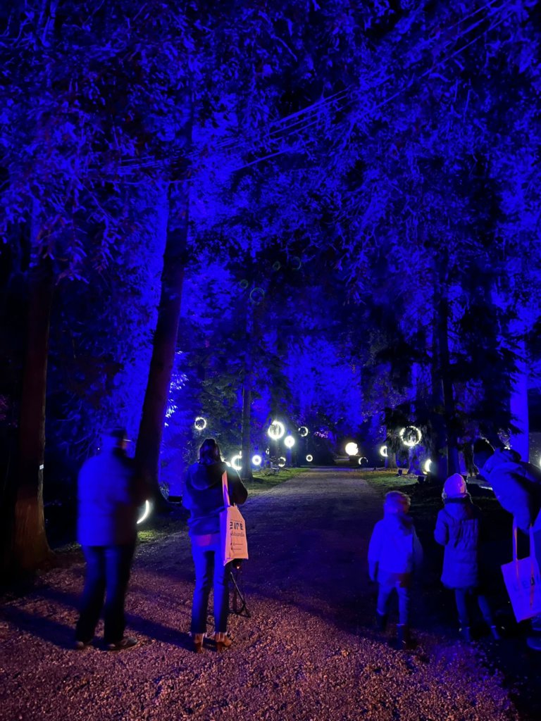 groupe de personne dans une allée d'arbres éclairés de bleu, dans la nuit