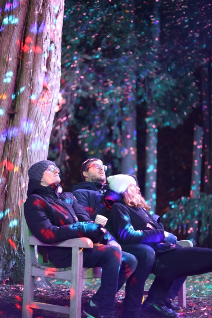 trois personnes assises sur un banc en train de regardé des illuminations sur des arbres, dans la nuit