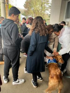 Des enfants dans une cour d'école qui caresse un chien