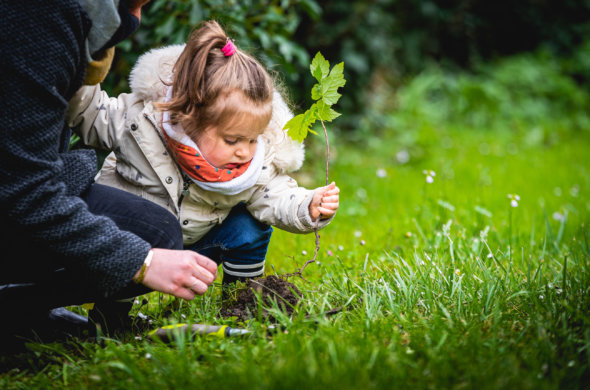 enfant en train de planter un petit arbre avec un adulte à côté