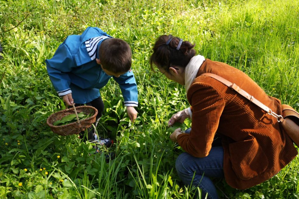 deux personnes accroupies au milieux d'un espace vert, en train de cueillir des plantes