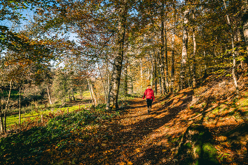 personne en rouge marchant sur une sentier en forêt d'automne