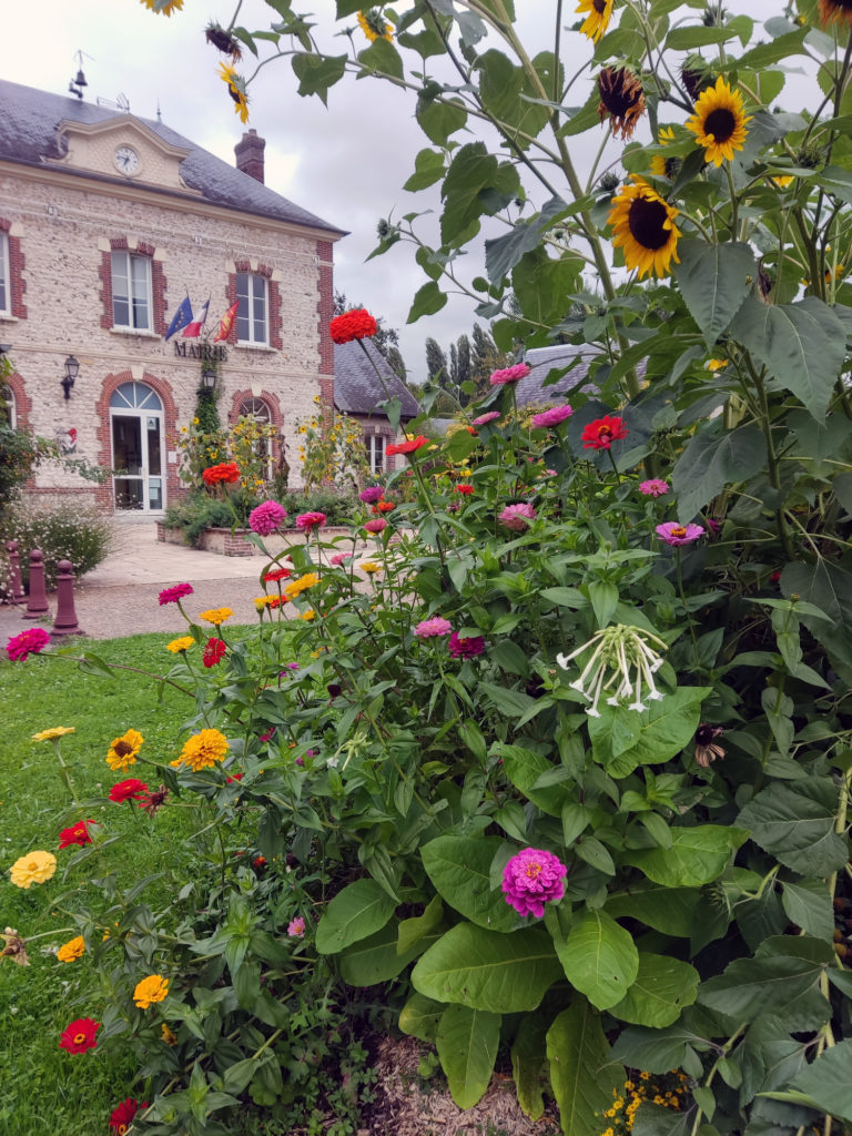 Massif de fleurs avec une mairie en arrière plan