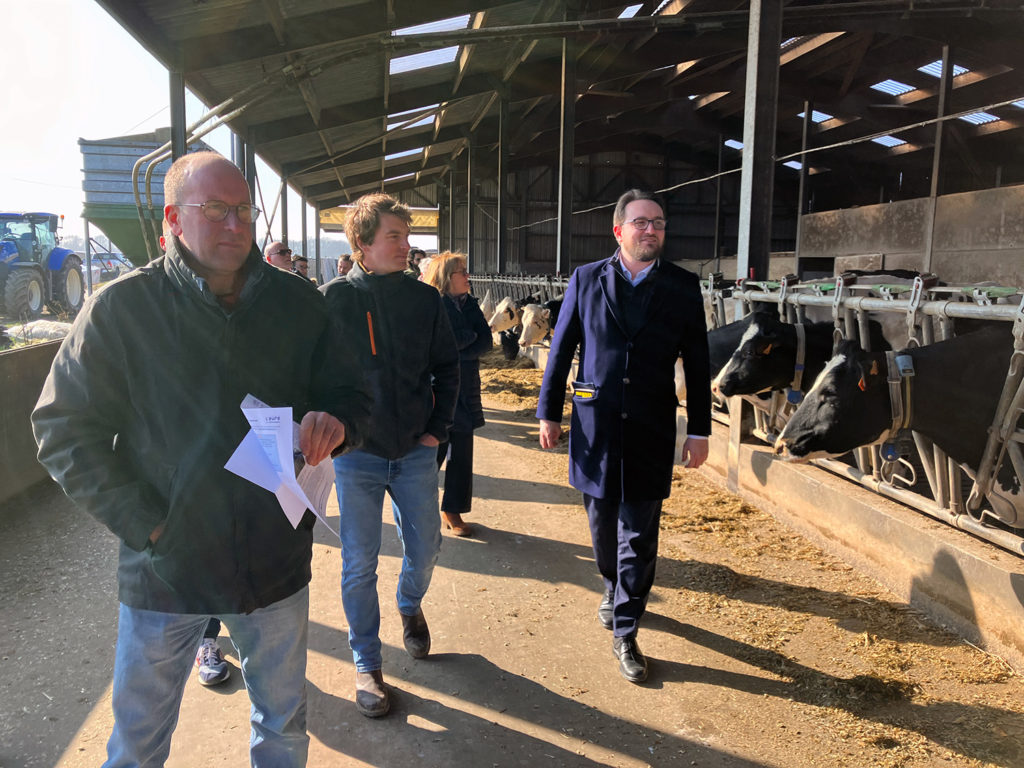 Personnes en train de marcher à côté de vaches