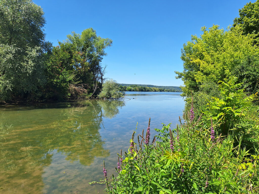 riviere-Seine rivière et végétations, ciel bleu