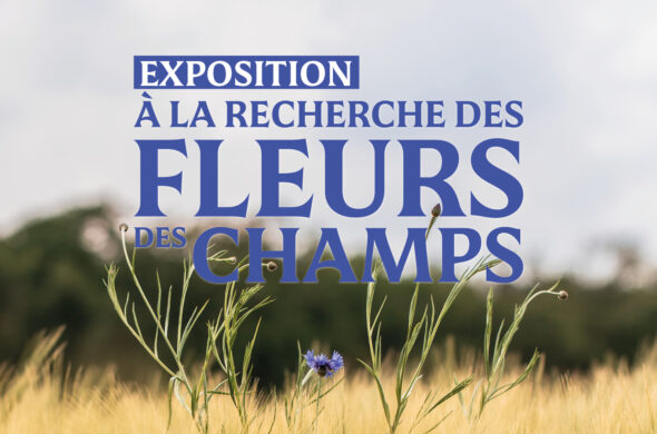 Illustration de l'événement