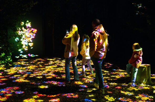 personnes au milieu de lumière