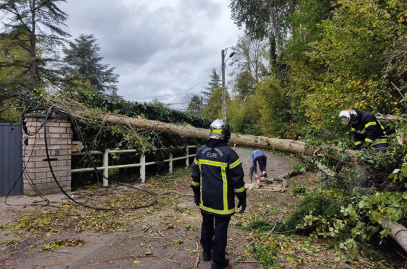 pompiers et arbre en travers d'une route