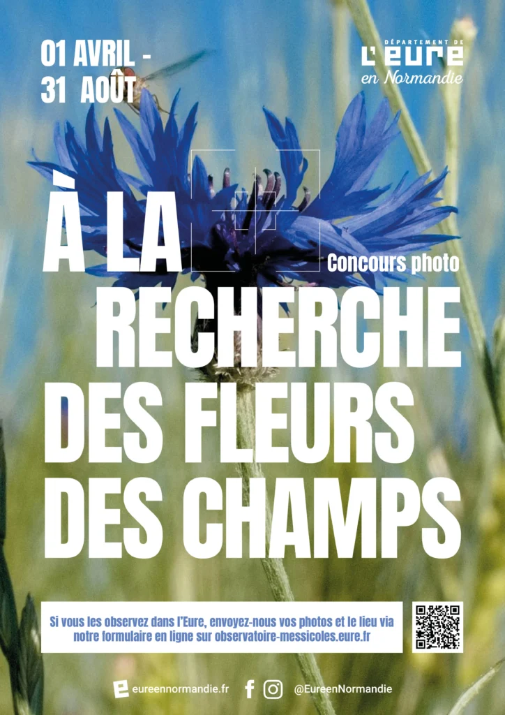 A3-Messicoles-2025 Bleuet avec texte par dessus