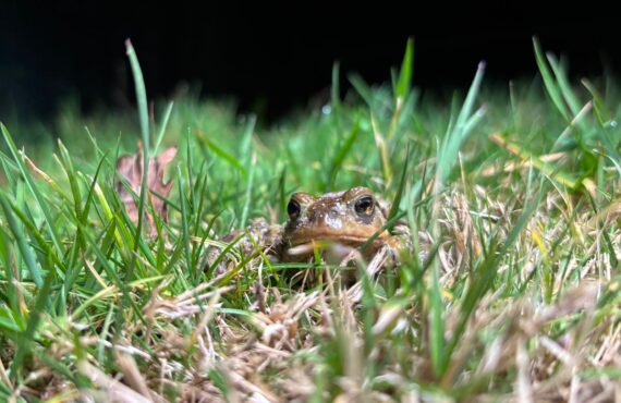 Illustration de l'actualité